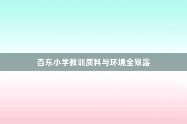 杏东小学教训质料与环境全暴露